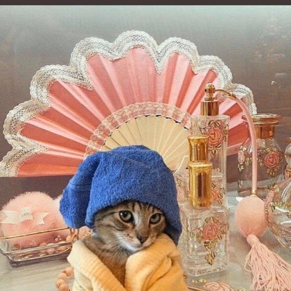 Meet your Posher, Maddie